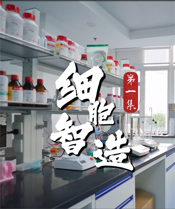 细胞智造｜生命之光